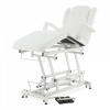 Массажный стол с электроприводом ММКМ-2 (SE3.21.10Д-04), цвет мокко (2 места) (2)
